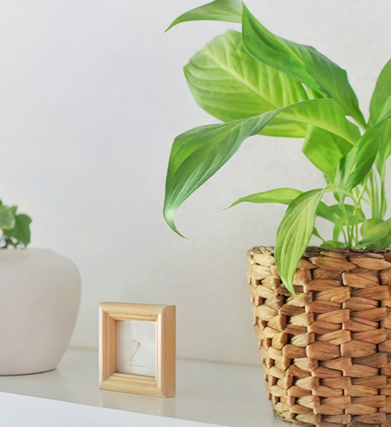 グループホーム杜のふたばを見る